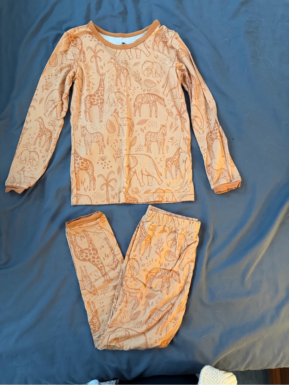 Lama Littles Savanna Long Sleeve Pants PJ Set 4T VGUC